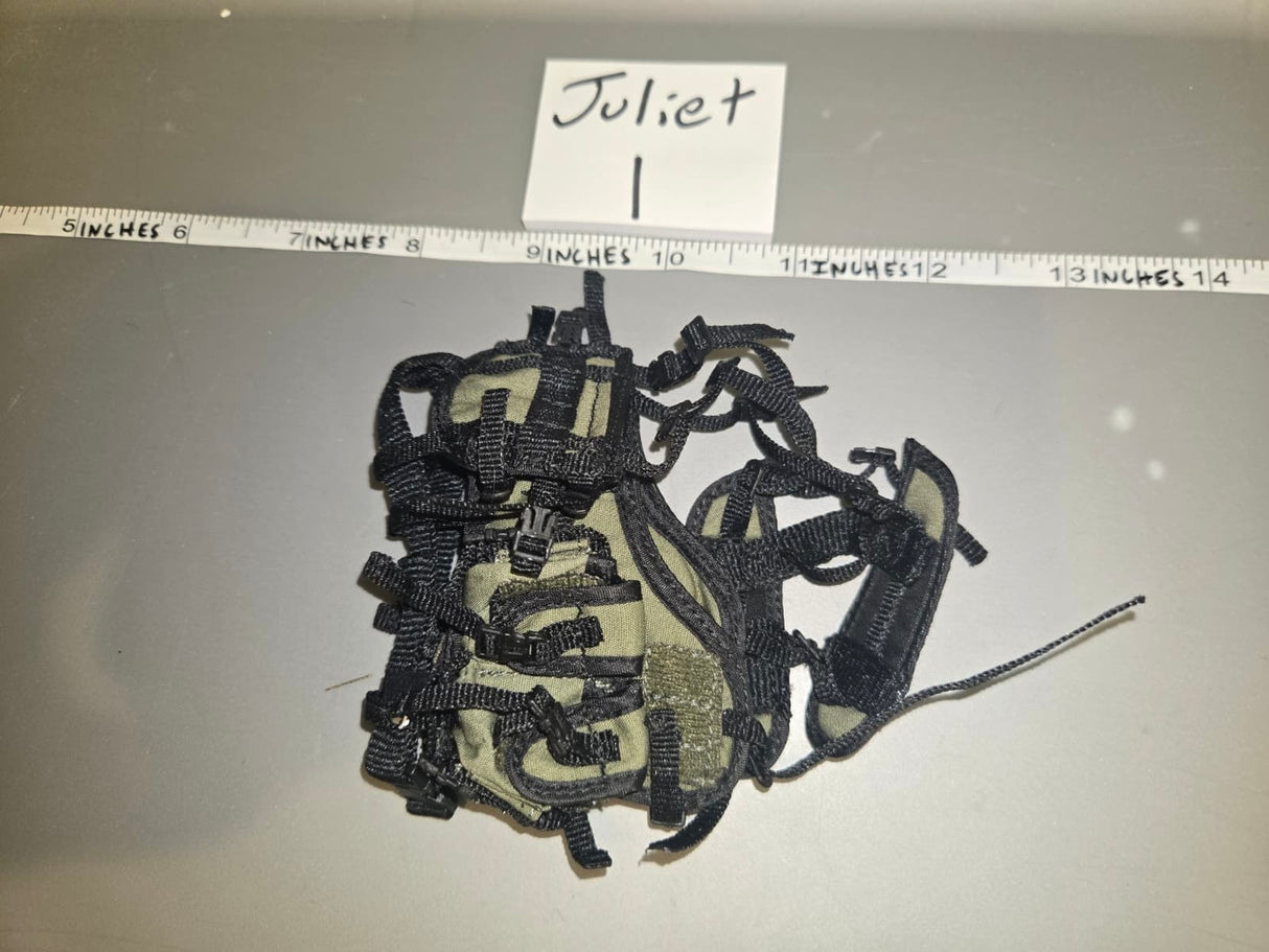 1/6 Scale Modern Era Load Bearing Web Gear