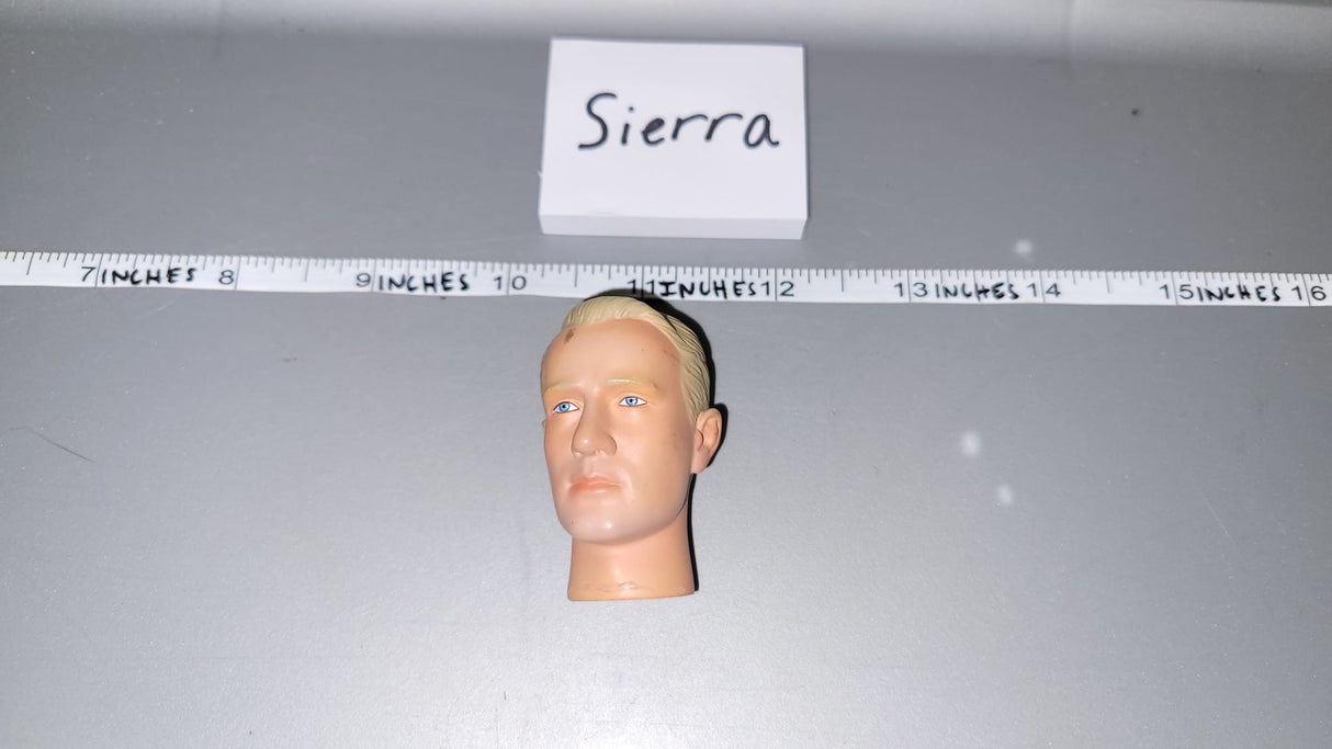 1/6 Scale Dragon Head Sculpt