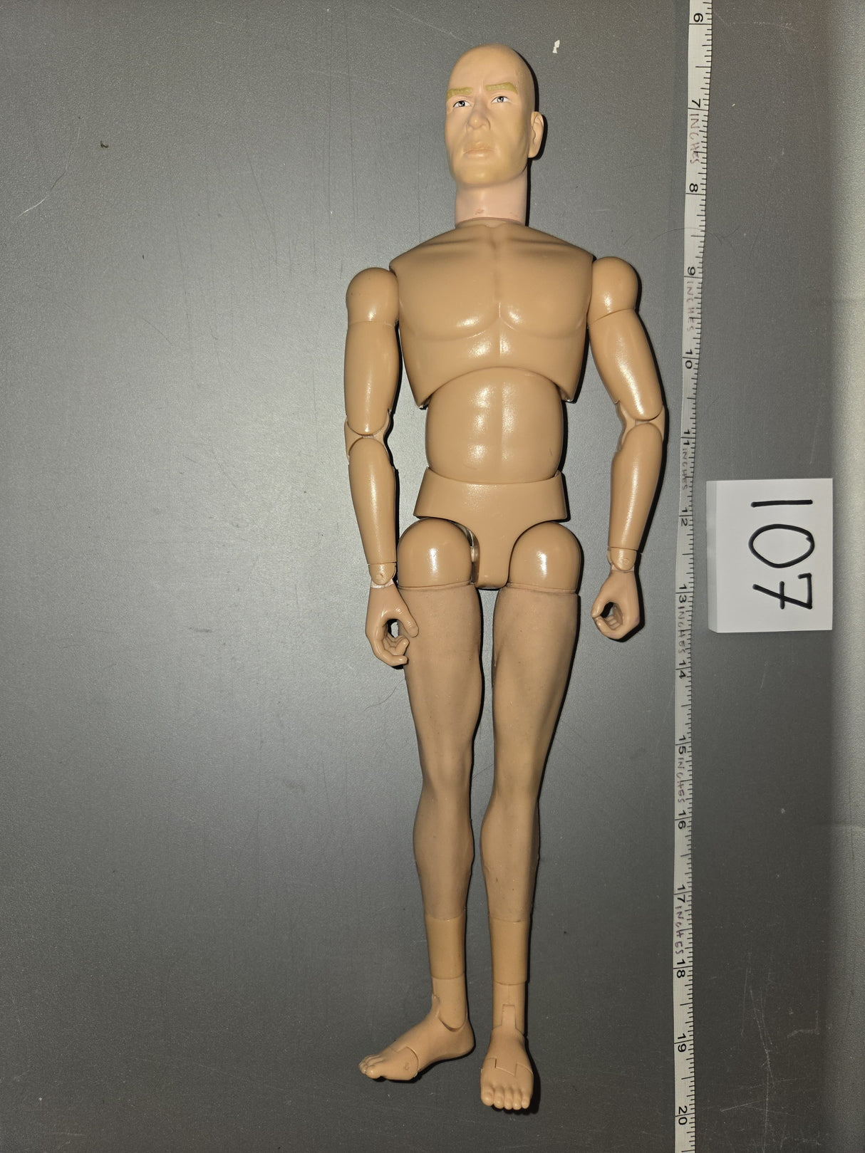 1/6 Scale Nude Dragon Figure