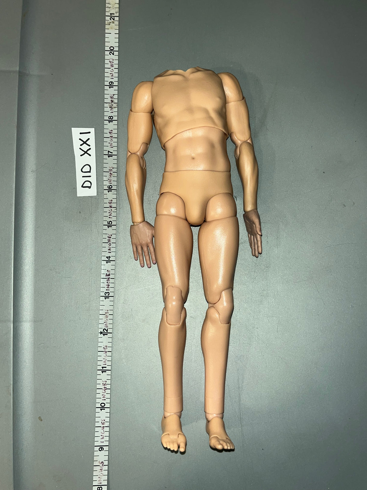 1/6 Scale DID Nude Basic Figure - DID Luftwaffe Pilot Erich Hartman
