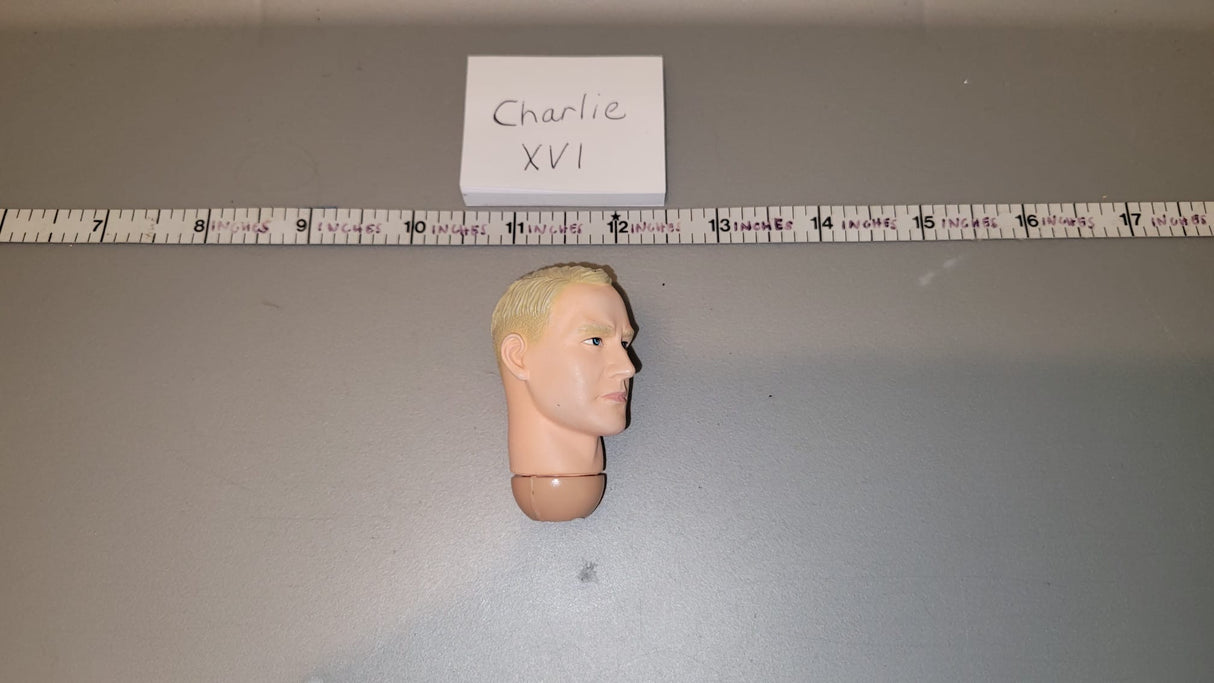 1/6 Scale Dragon Head Sculpt