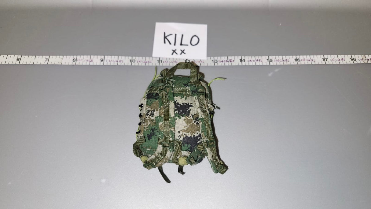 1/6 Scale Modern Era Chinese Backpack