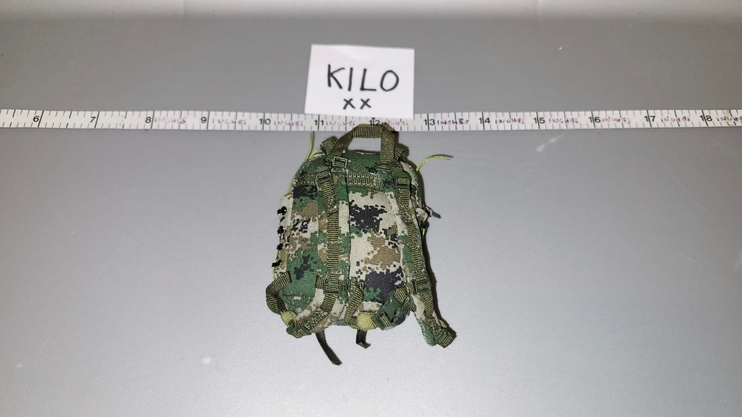 1/6 Scale Modern Era Chinese Backpack
