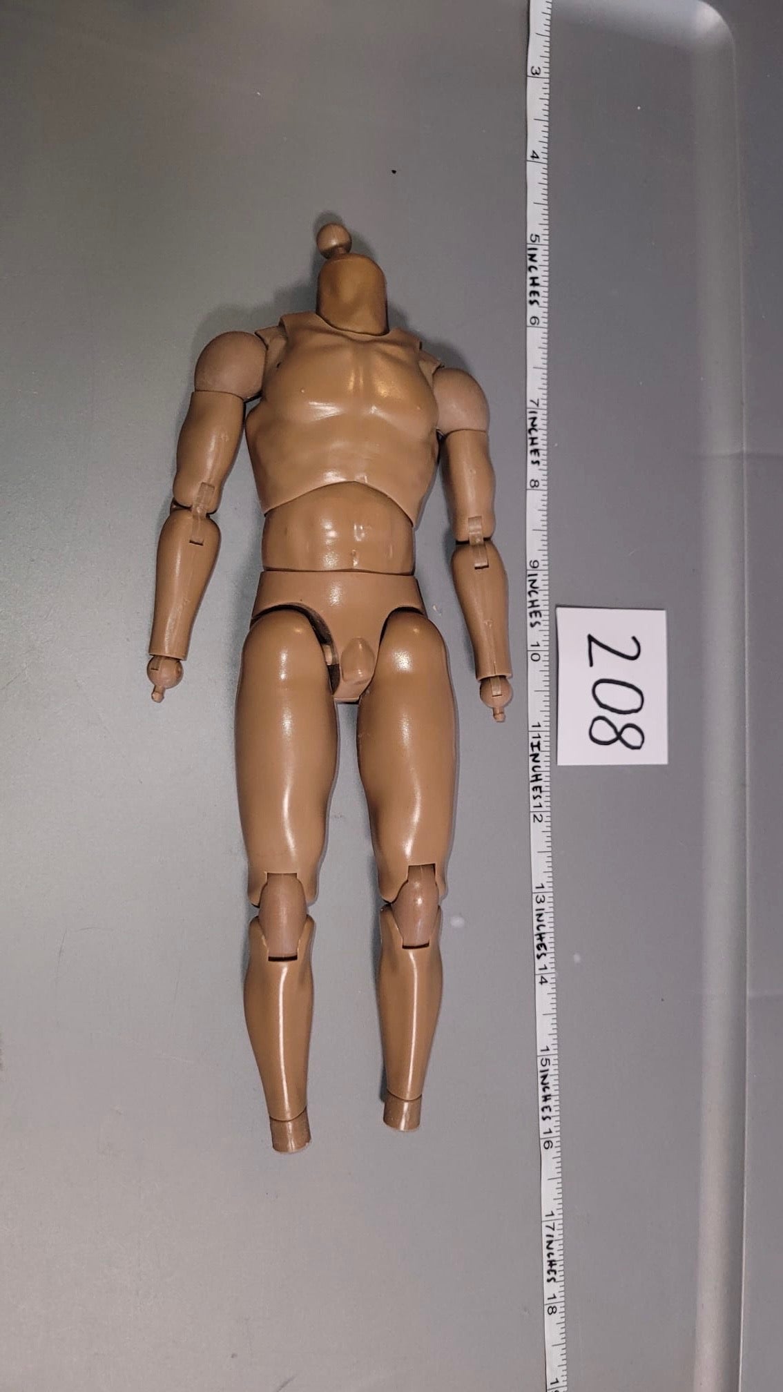 1/6 Scale Nude Figure - Basic Figure