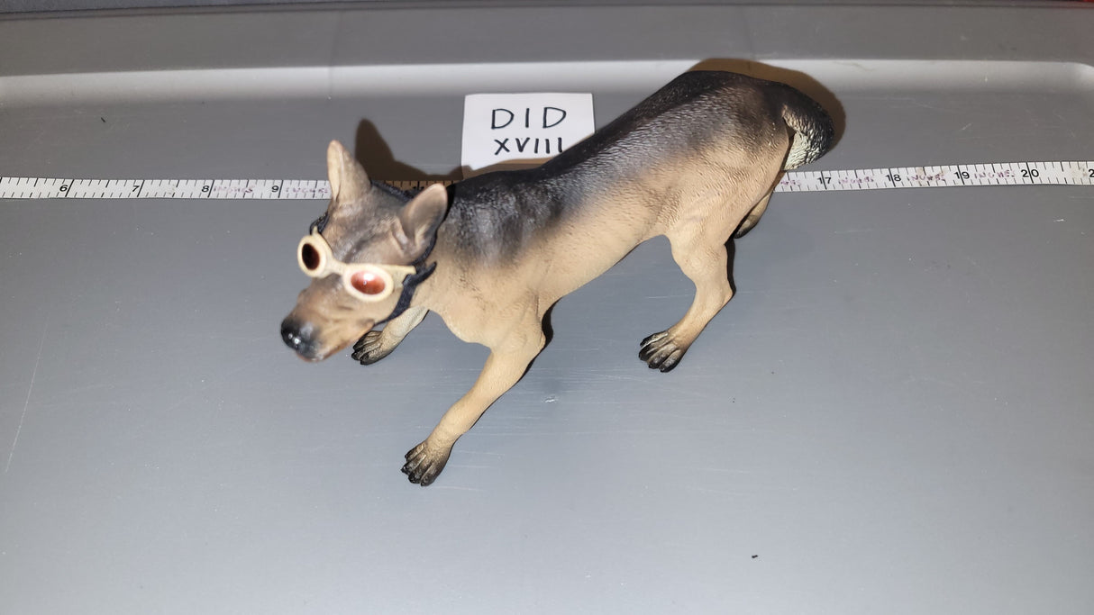 1/6 Scale Modern Era Belgian Dog with Goggles