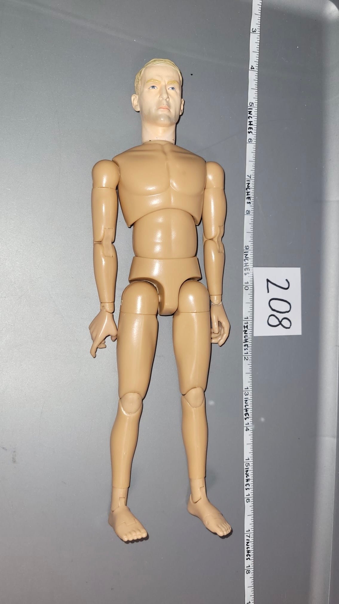 1/6 Scale Nude Dragon Figure