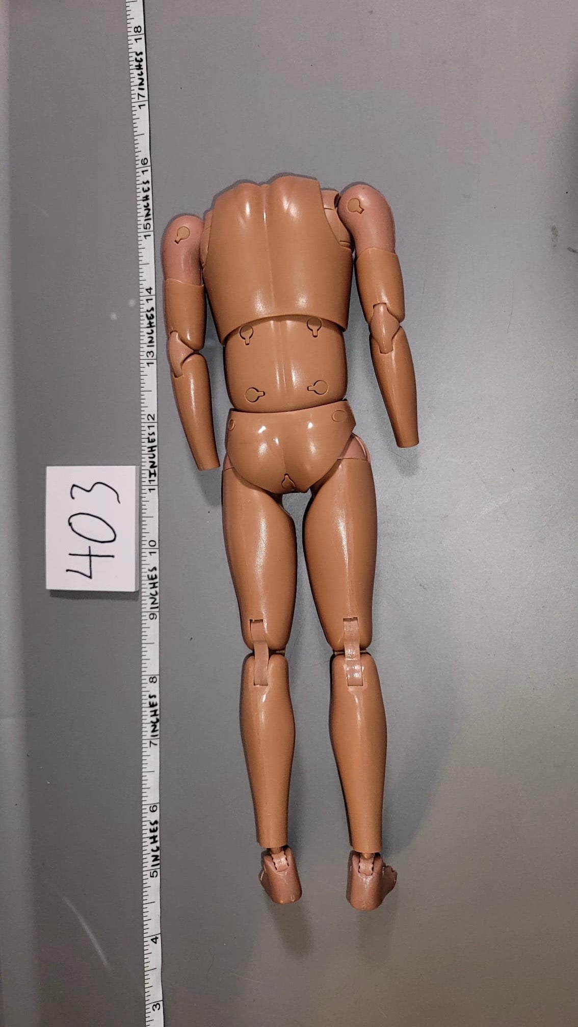 1/6 Scale Nude Figure DID - Basic Figure