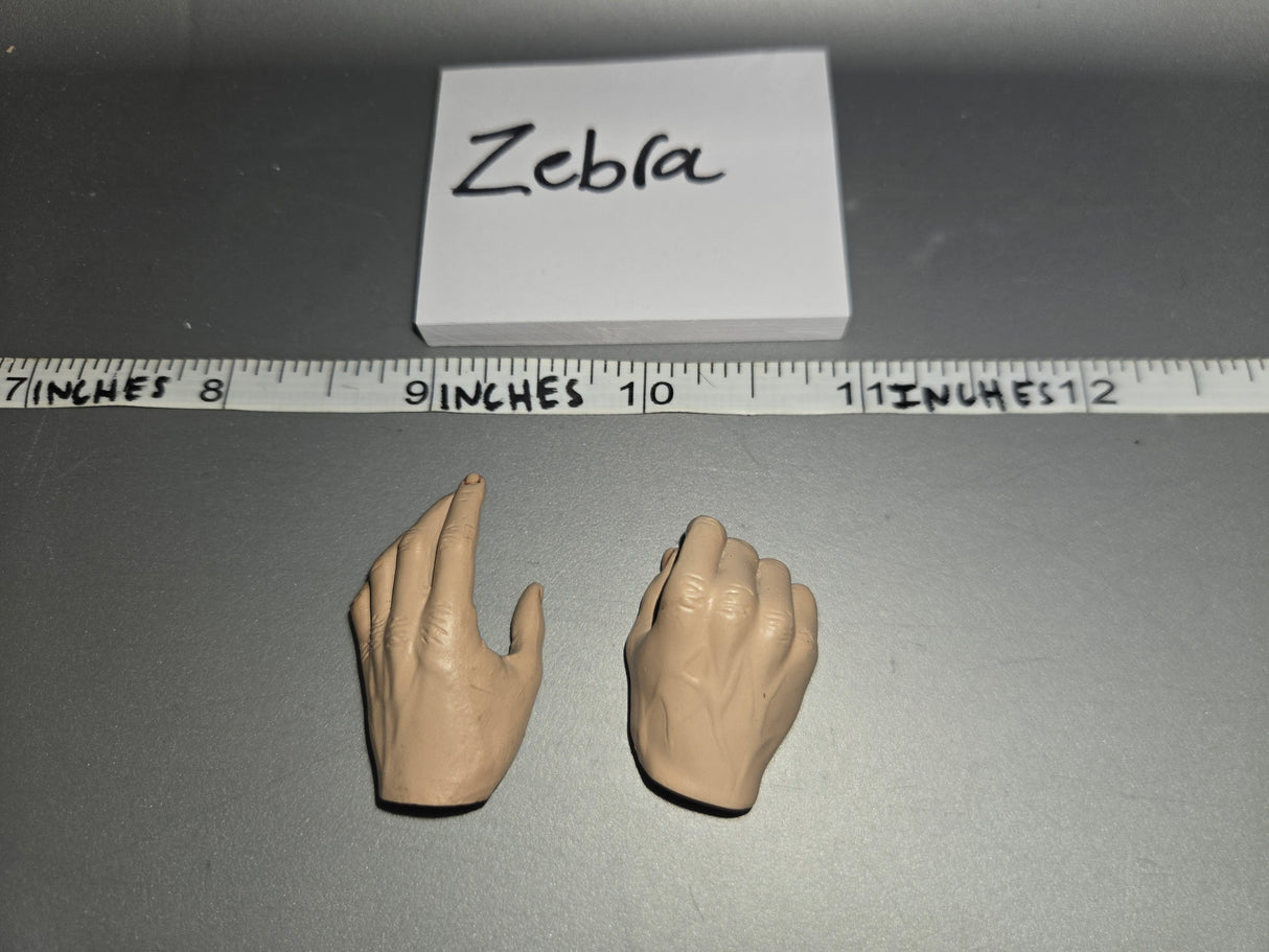 1/6 Scale Star Wars Sideshow Hand Set
