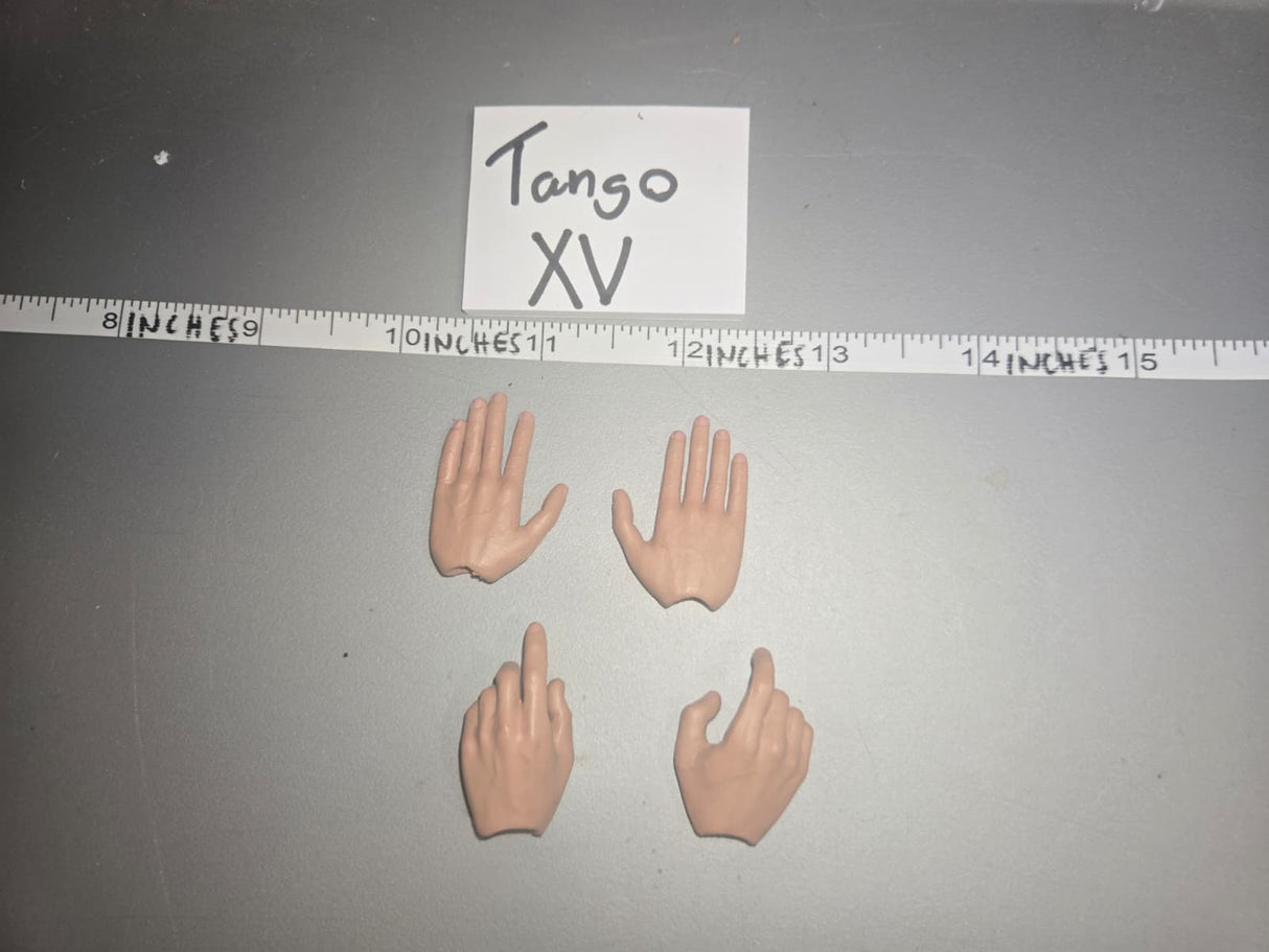 1/6 Scale Nude Figure Hand Lot - DID