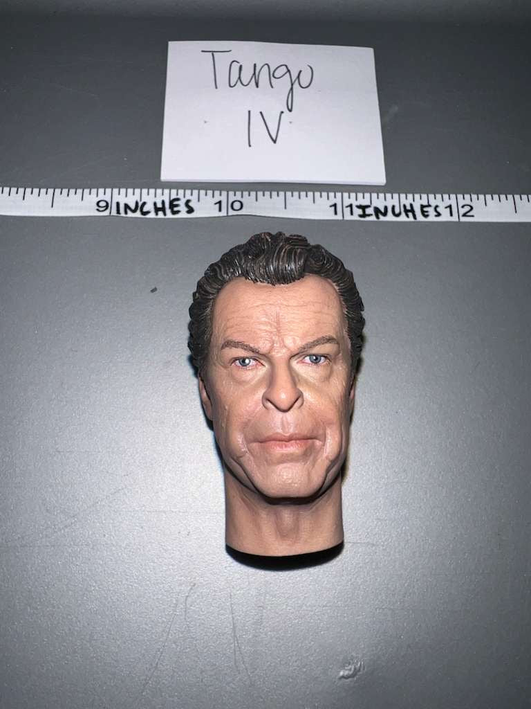 1/6 Scale Head Sculpt - DID