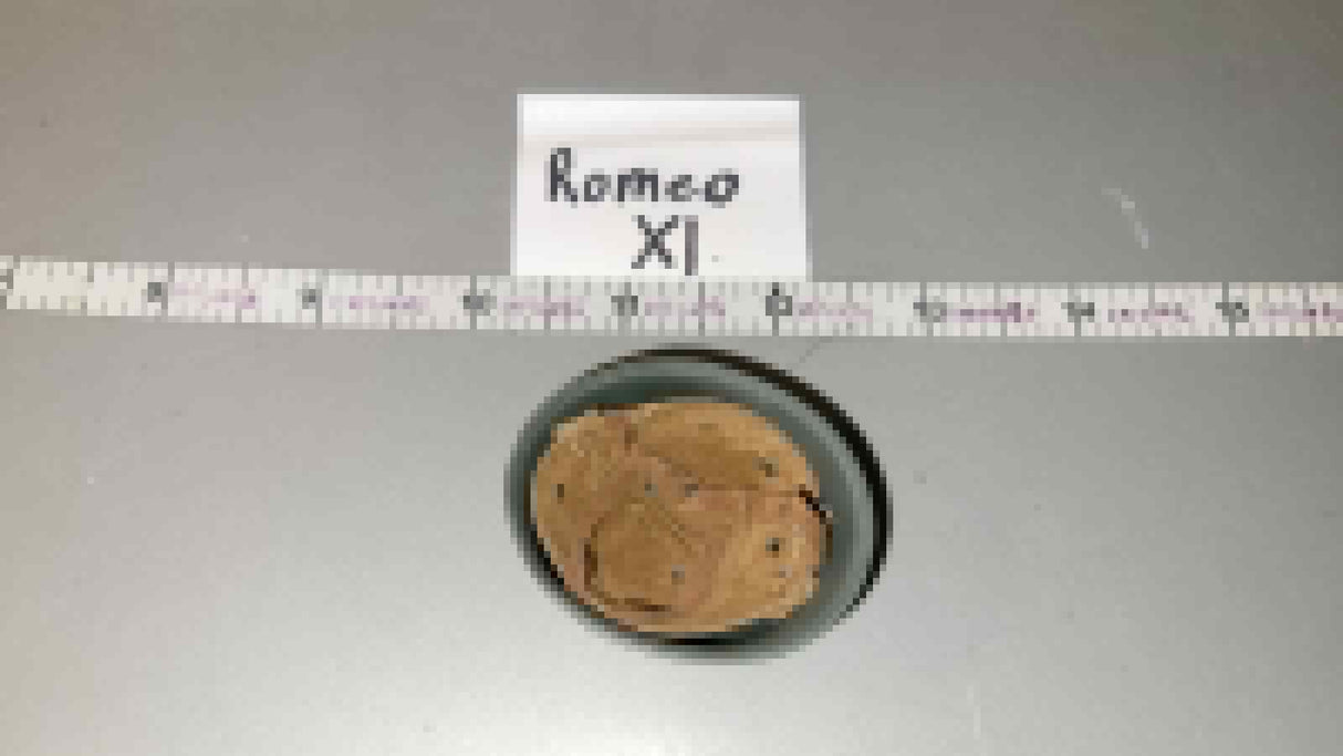 1:6 Scale WWII German Fallschirmjager Helmet