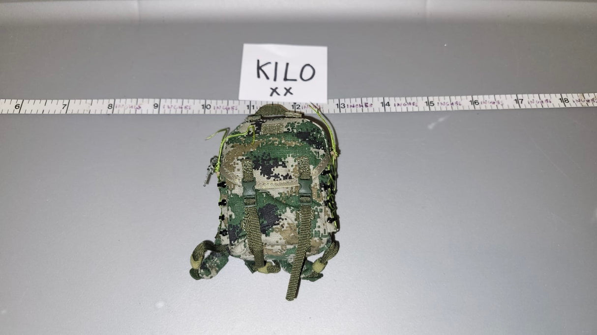 1/6 Scale Modern Era Chinese Backpack