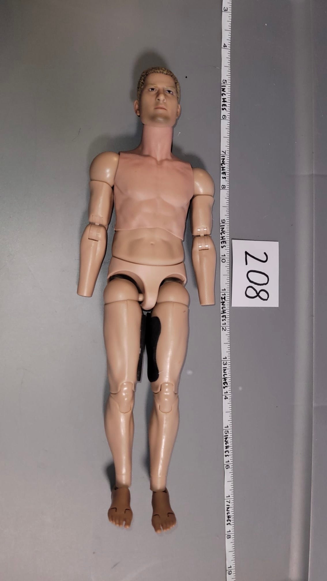 1/6 Scale Nude Figure - Basic Figure - DAM