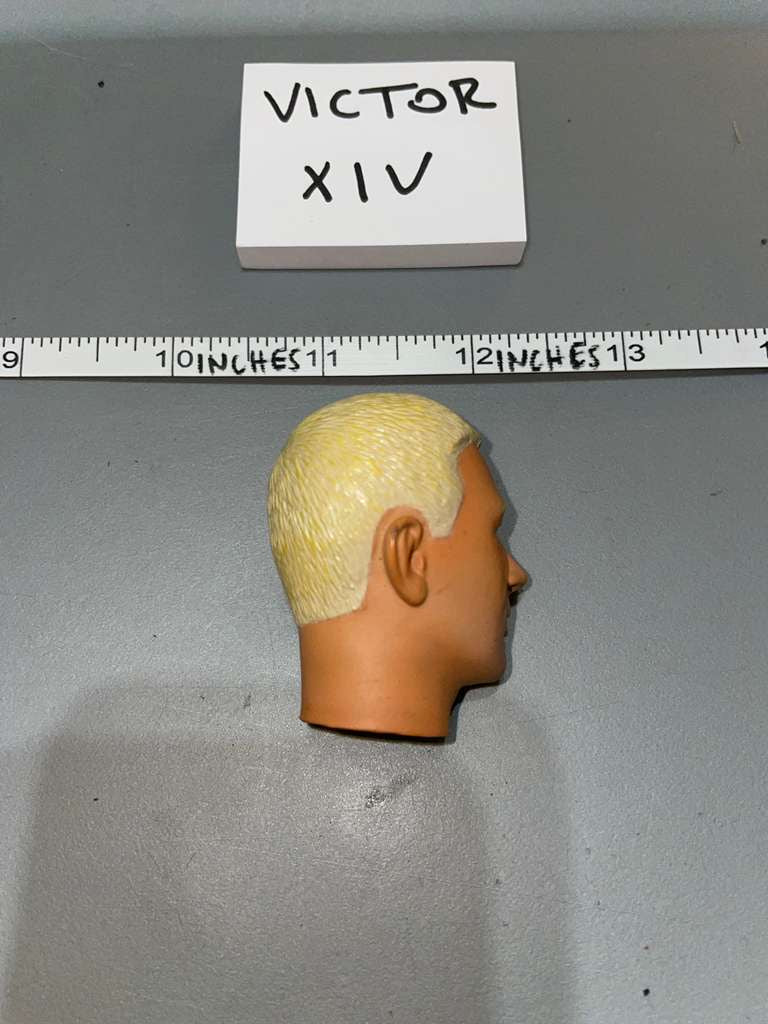 1/6 Scale Dragon Head Sculpt