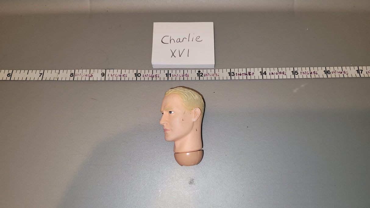 1/6 Scale Dragon Head Sculpt