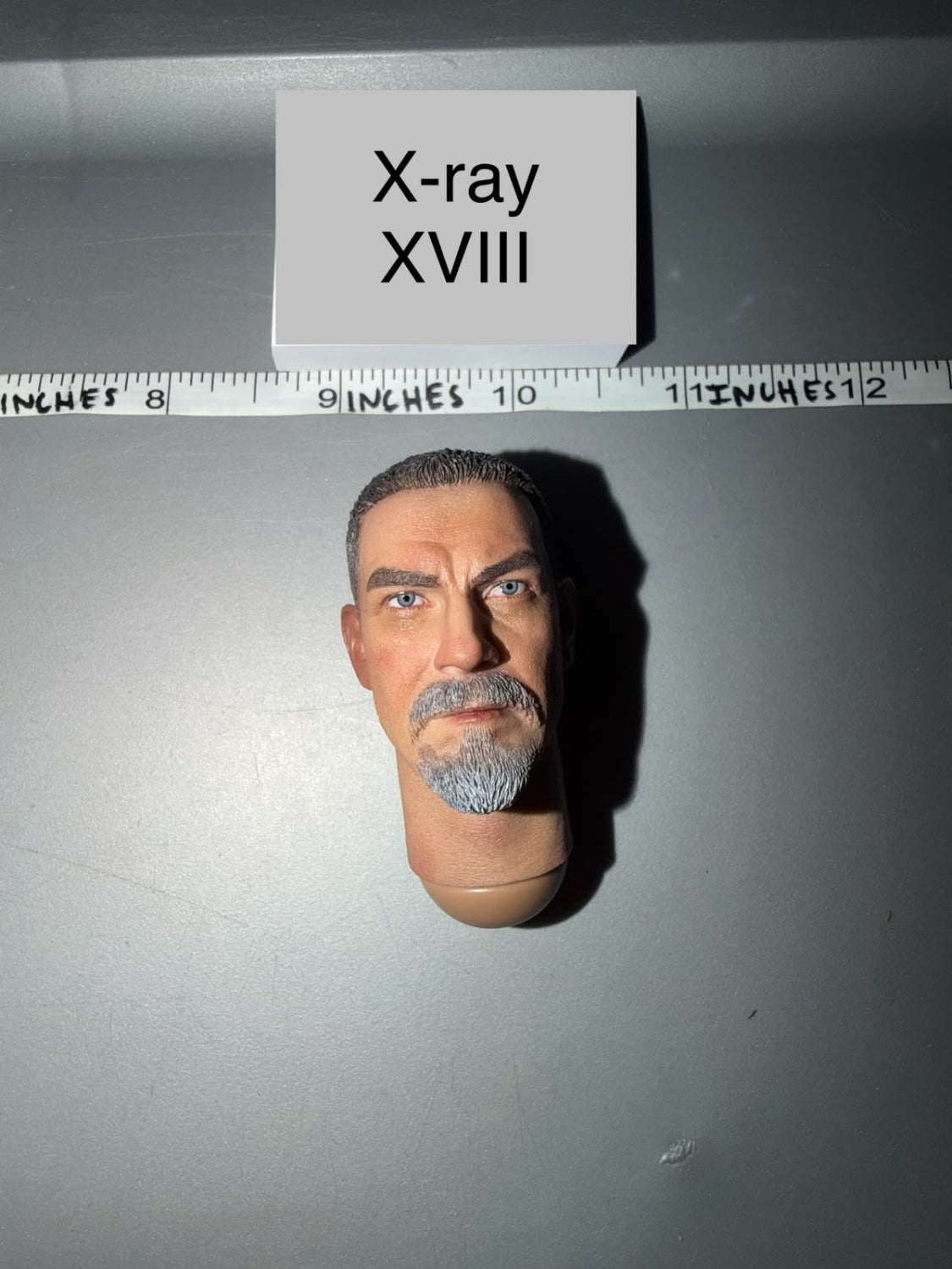 1/6 Scale Modern Era Male Head Sculpt - X-ray XVIII