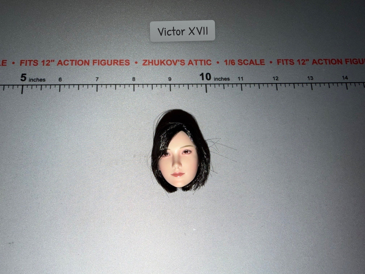 1/6 Scale Modern Female Head Sculpt