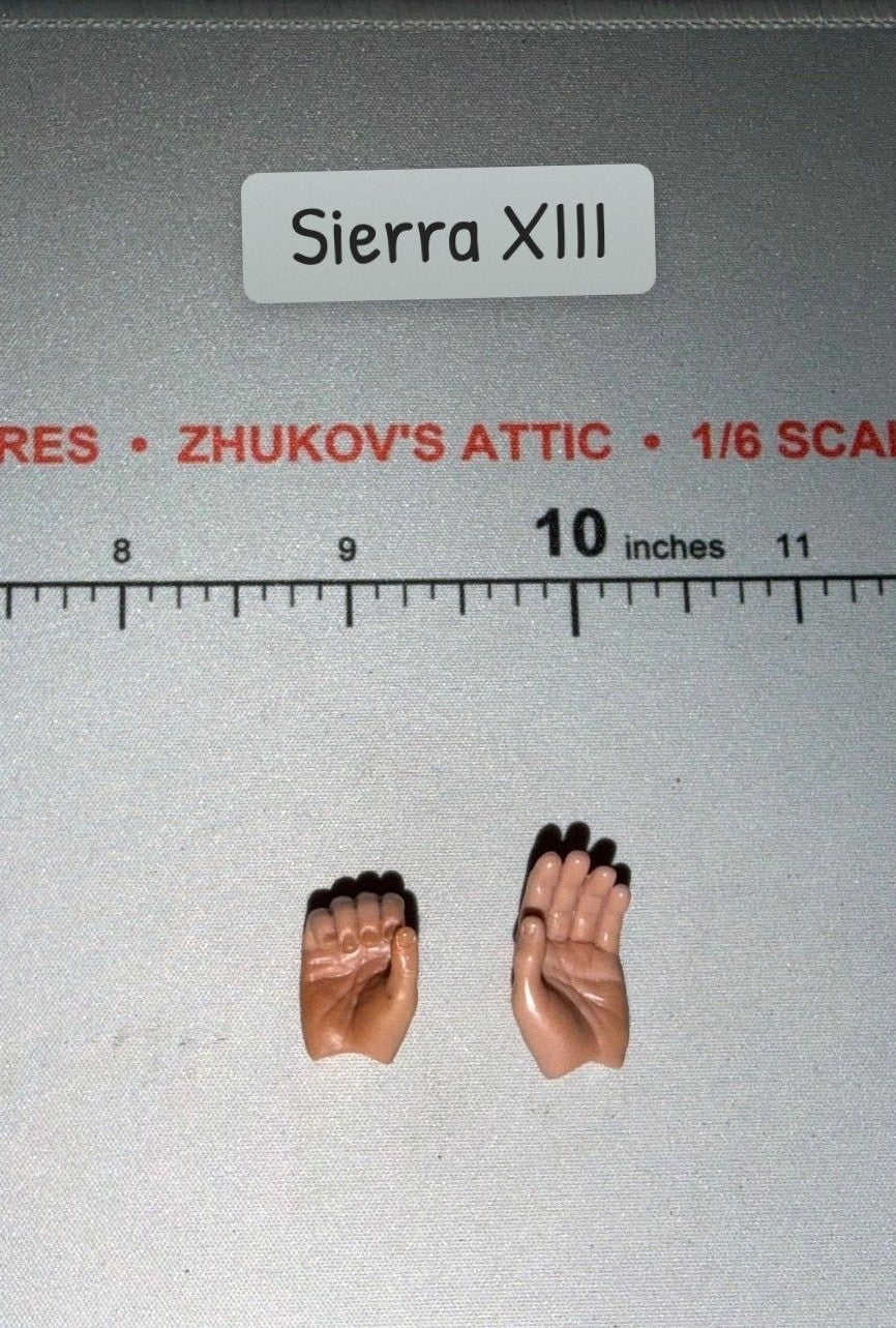1/6 Scale Hand Set