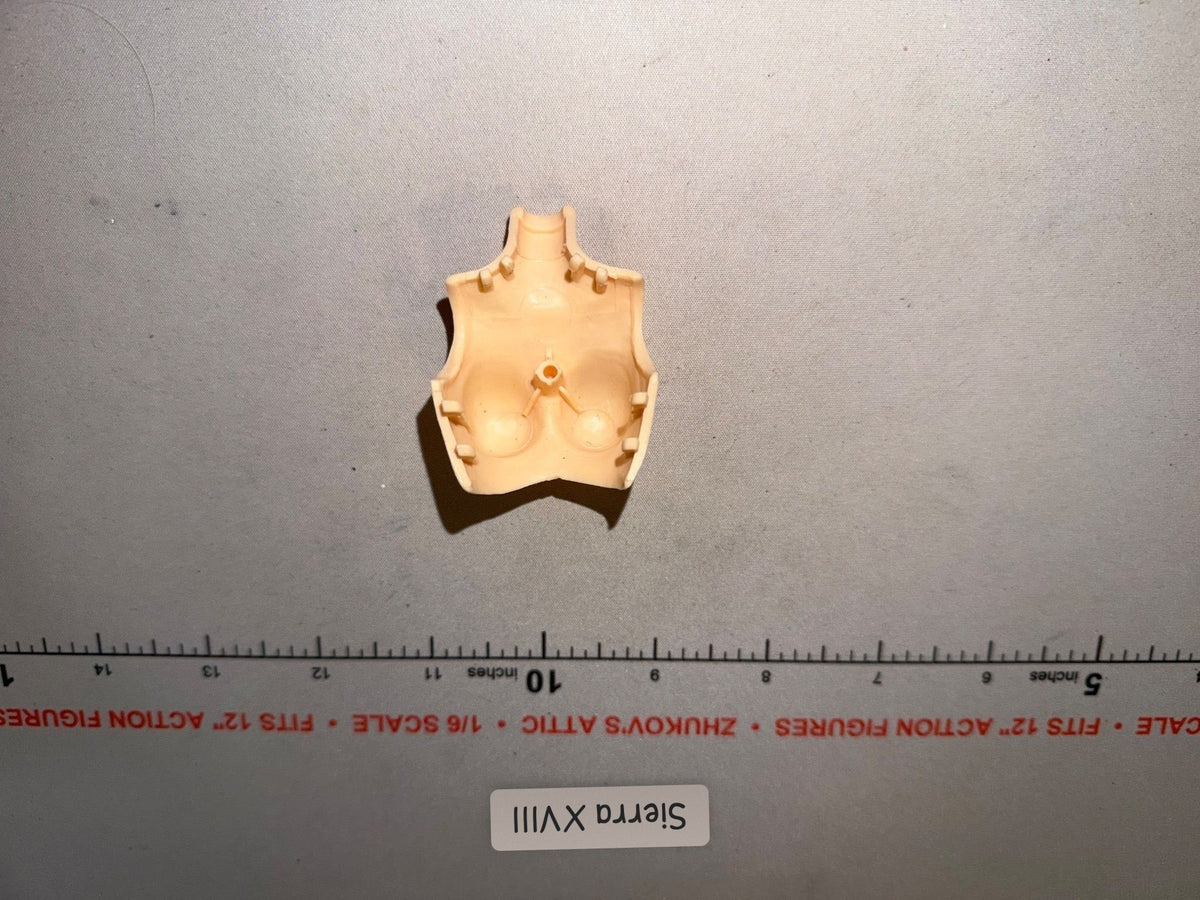 1/6 Scale Female Figure Body Torso