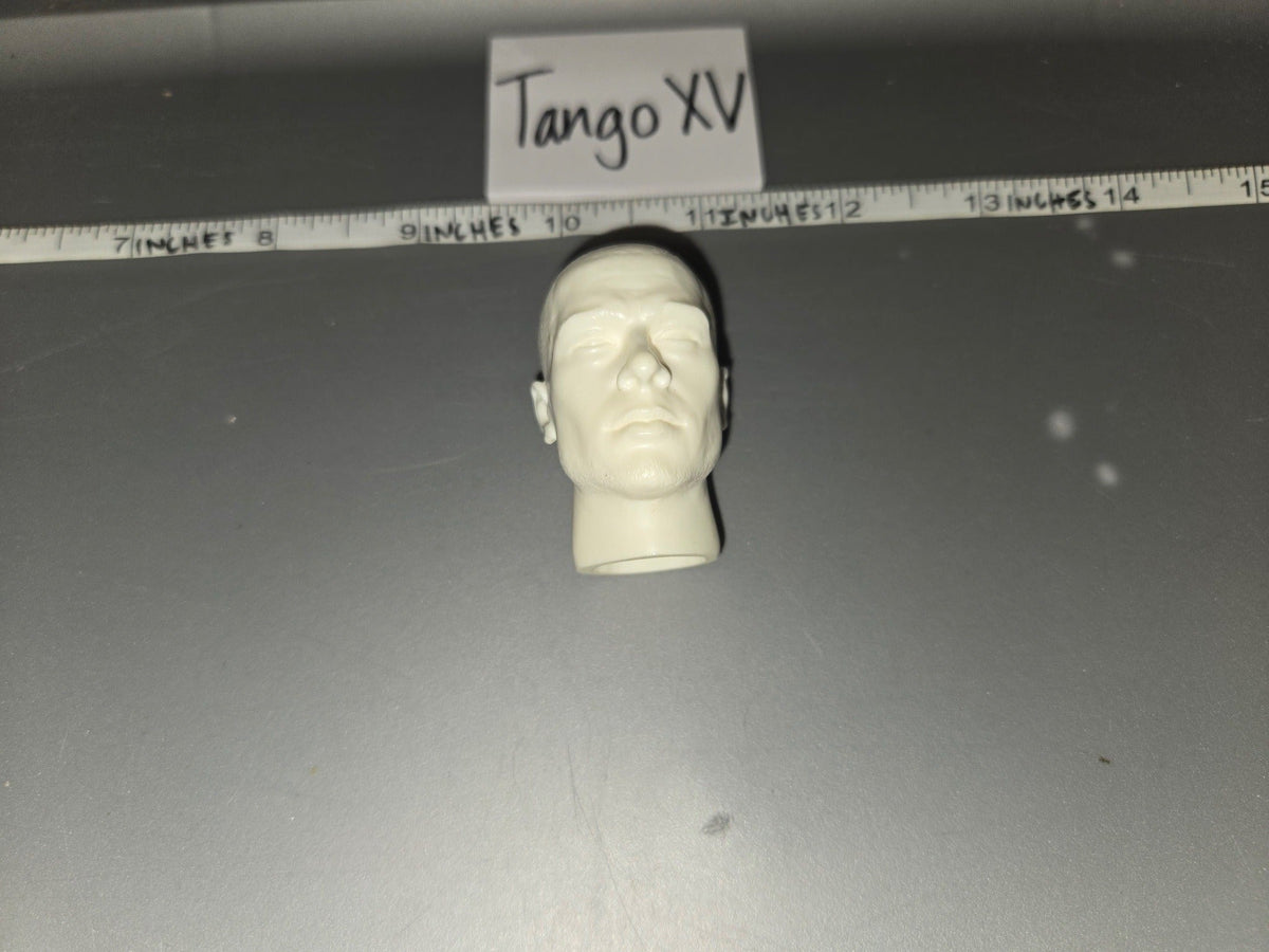 1/6 Scale Unpainted Head Sculpt