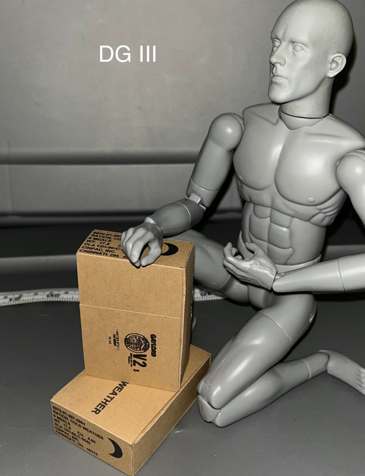 1/6 Scale Modern Era Cold Weather Ration Cases (2) 107373