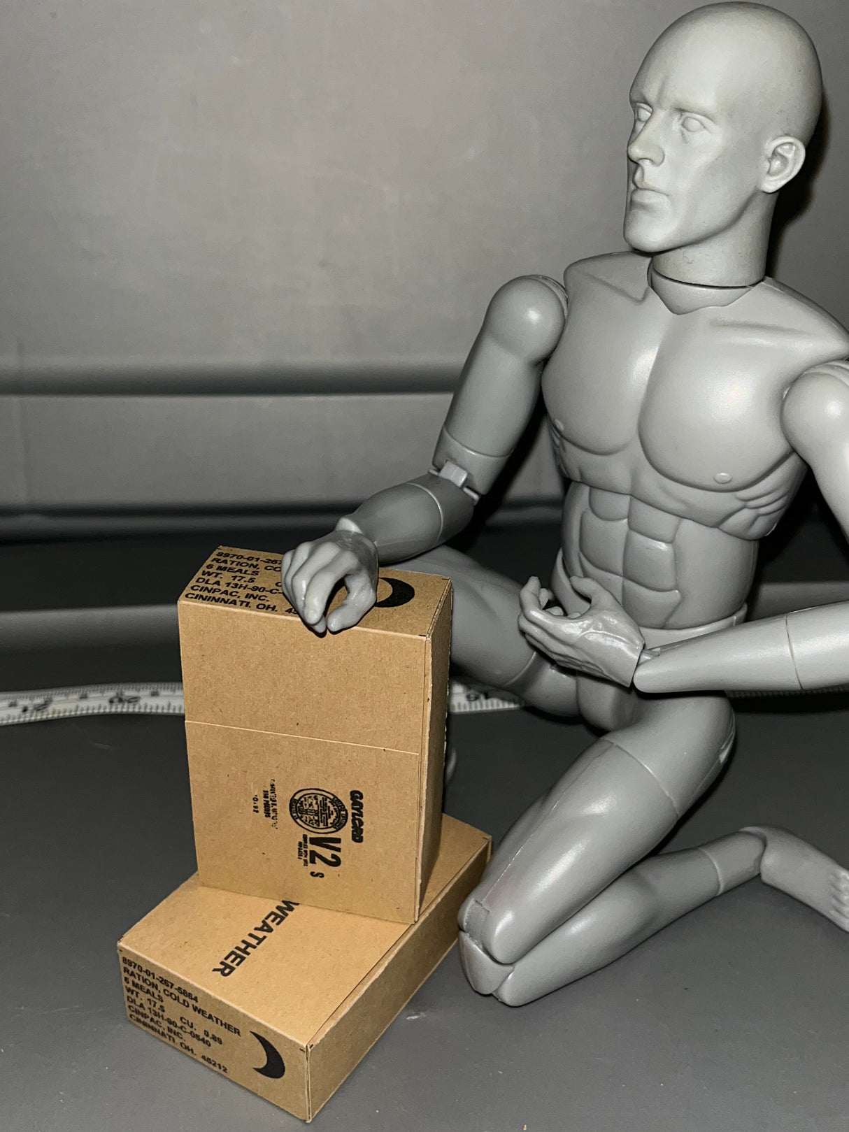 1/6 Scale Modern Era Cold Weather Ration Cases (2) 107373