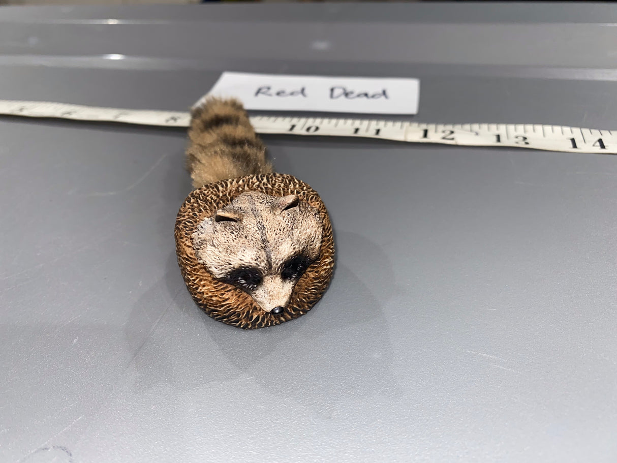 1/6 Scale Western Era Red Dead Coon Skin Cap 112572