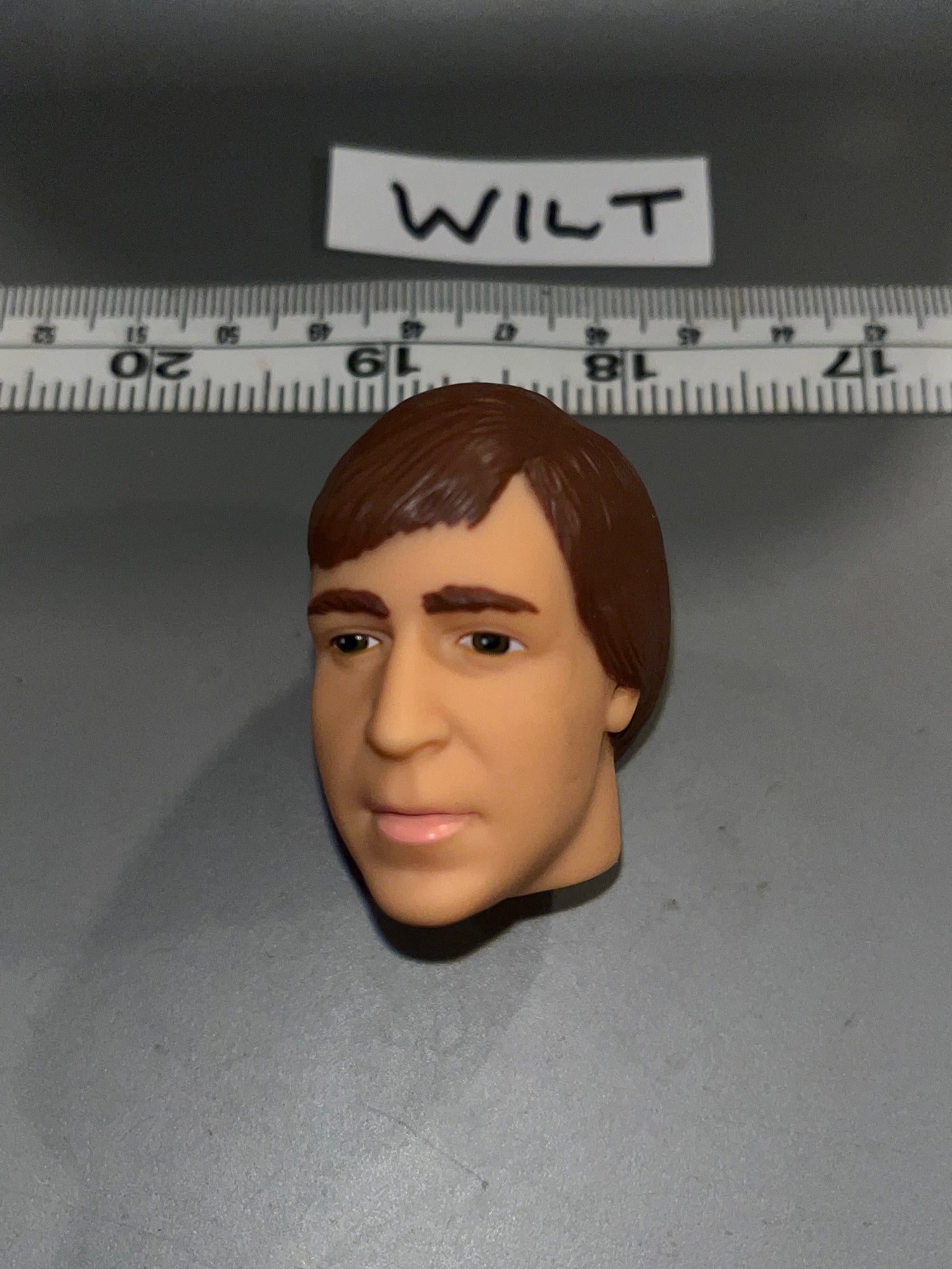 1/6  Scale Star Wars Wedge Head Sculpt