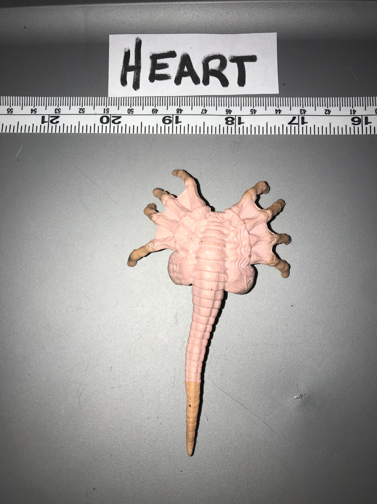 1:6 Scale Science Fiction Alien Face Hugger 110550