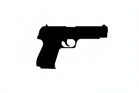 Guns