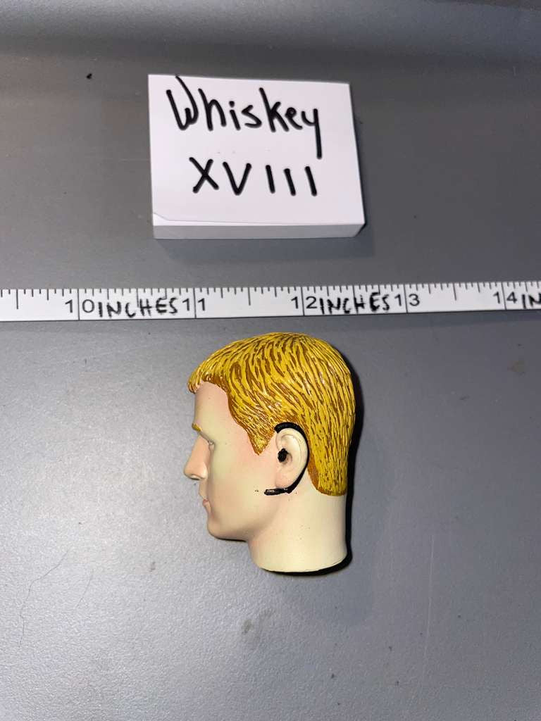 1/6 Scale BBi Head Sculpt