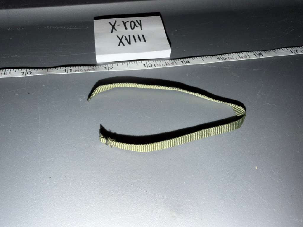 1:6 Scale Modern Era - Vietnam US Pants Belt