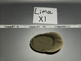 1/6 Scale WWII German Afrika Korps Tropical Field Cap