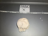 1:6 WWII German Camouflage helmet cover - DID