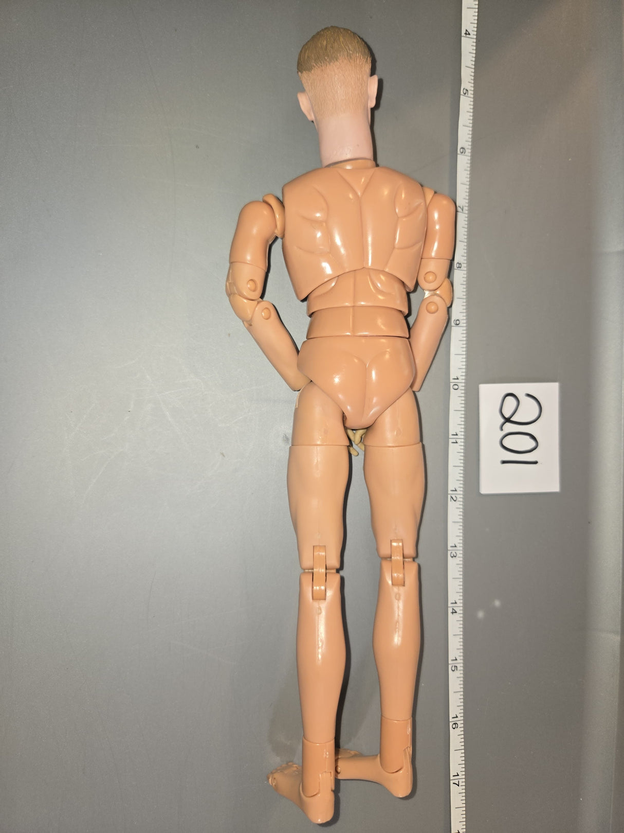 1/6 Scale Nude DID Figure