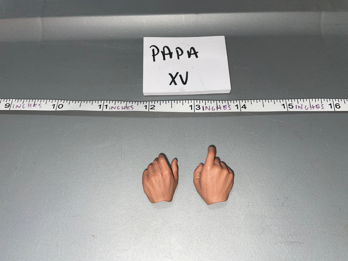 1/6 Scale WWII German DID Hand Set