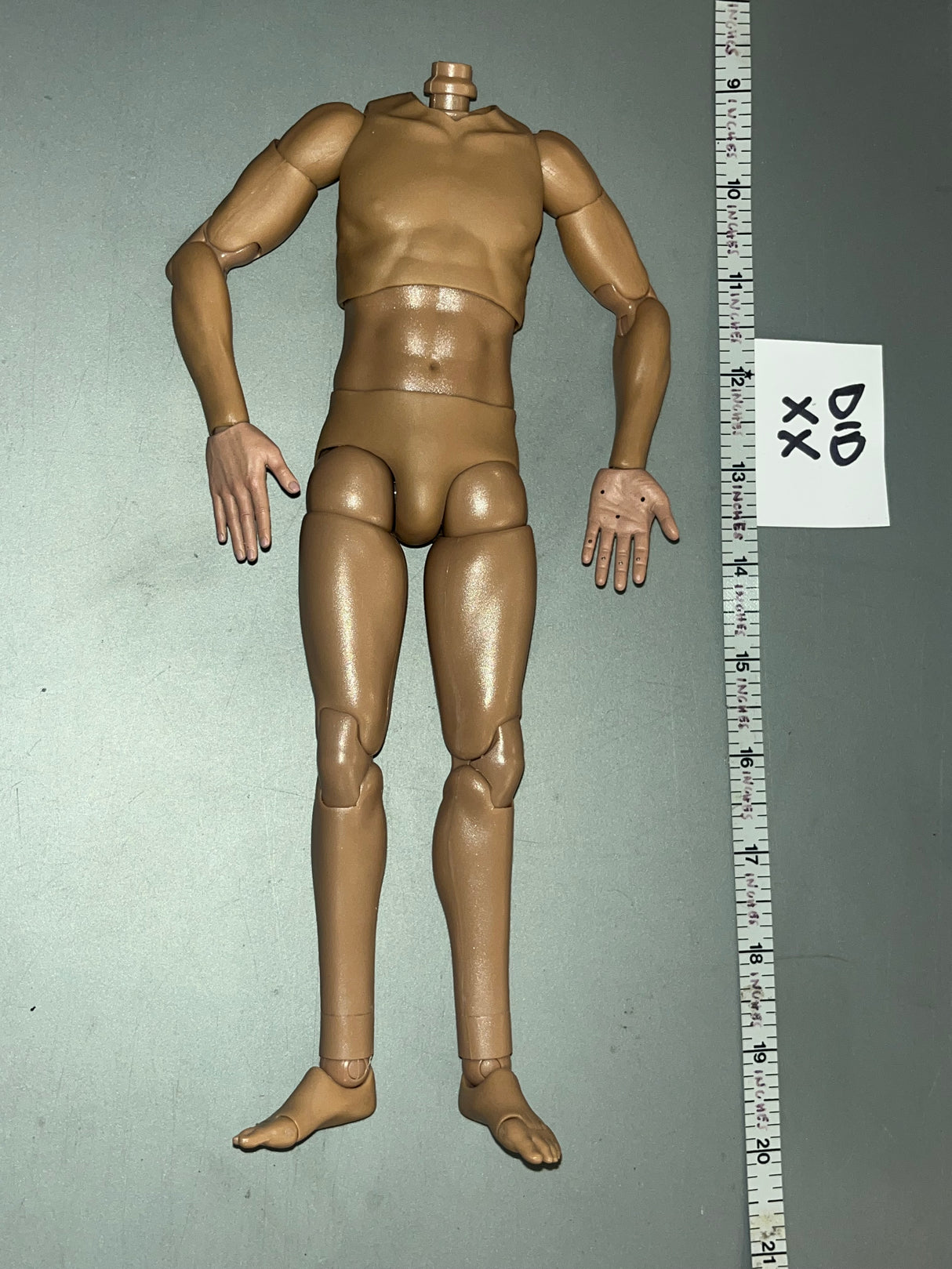 1/6 Scale DID Nude Basic Figure - DID Royal Air Force Pilot Tom