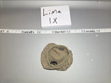 1/6 Scale WWII Italian Beret