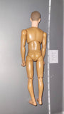 1/6 Scale Nude Dragon Figure