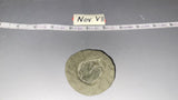 1/6 Scale Vietnam US Boonie Hat