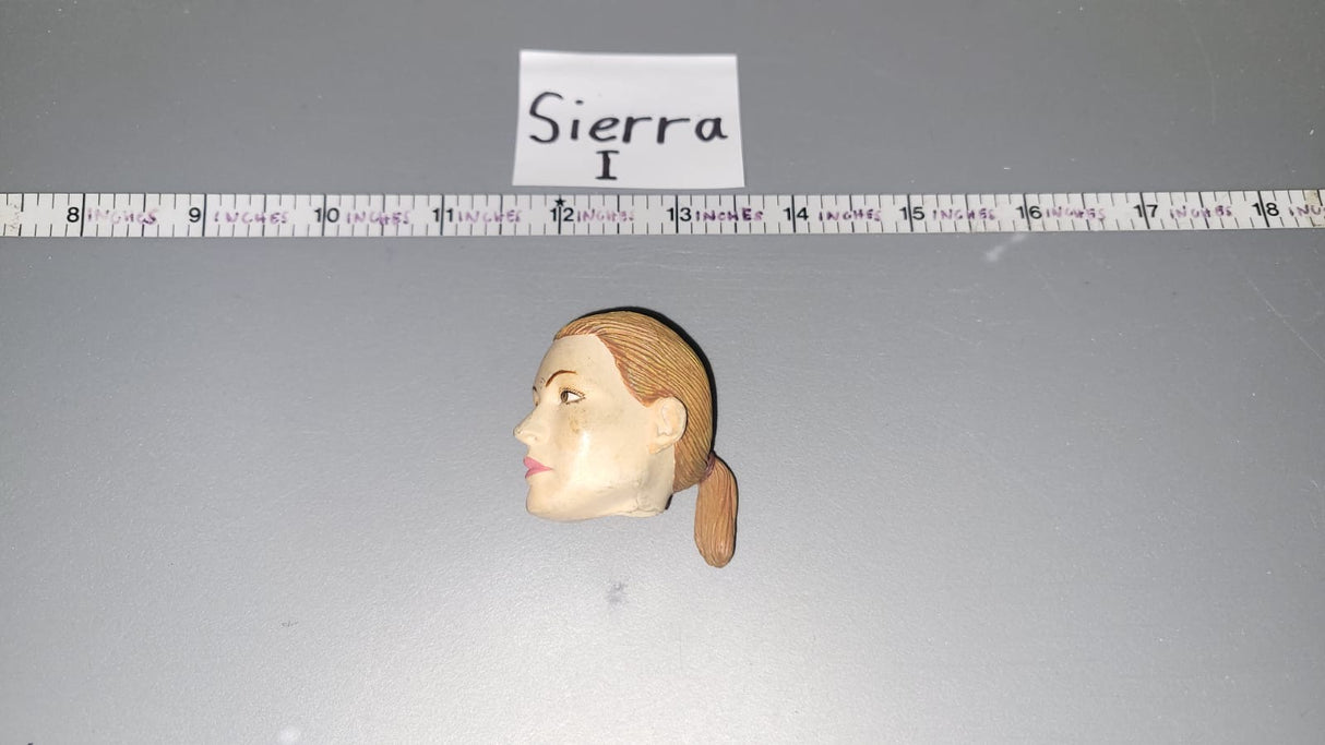 1/6 Scale Female Head Sculpt