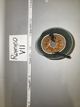 1/6 Scale WWII German Helmet