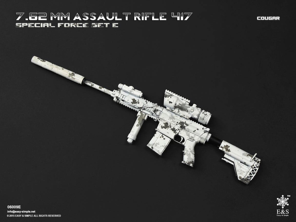 1/6 Scale Modern Era ASSAULT RIFLE 417 Weapons Set - NIB Easy and Simple Set E - BCSIV