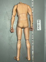 1/6 Scale DID Nude Basic Figure Body - DID D80193 Cavalry Standard Bearer Anselm