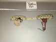1/6 Scale WWI US Cartridge Belt, Canteen Carrier, and Pistol Holster - Yankee XVI