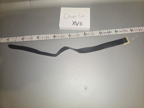 1/6 Scale Civil War Western Belt