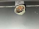 1/6 Scale WWII Japanese Helmet - Naval Special Landing Force