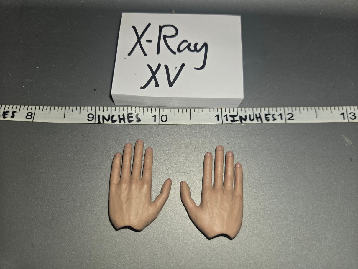 1/6 Scale DID Hand Set