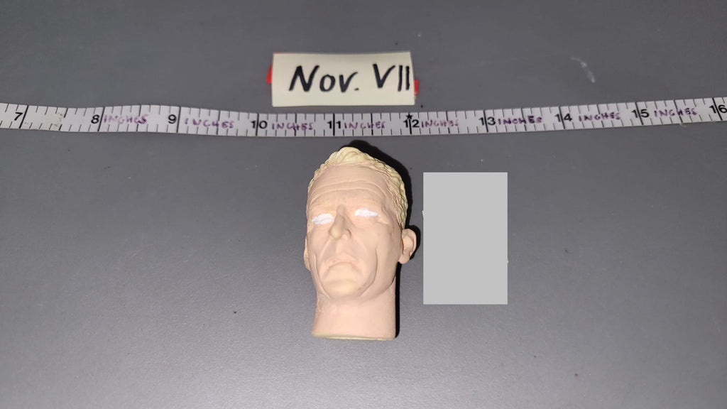 1/6 Scale Unpainted Head Sculpt