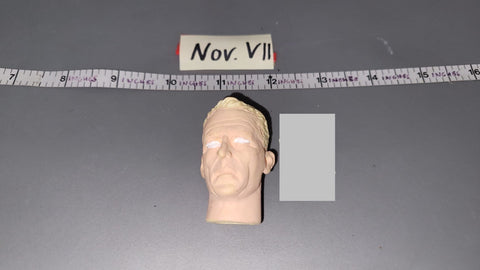 1/6 Scale Unpainted Head Sculpt